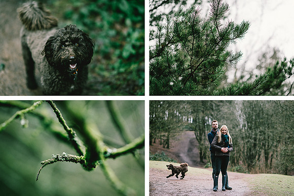 Lickey Hills Pre Wedding Photography