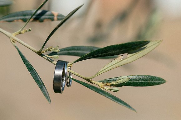 Shustoke Farm Barn Wedding