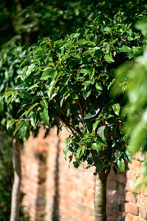 Shustoke Farm Barn Wedding