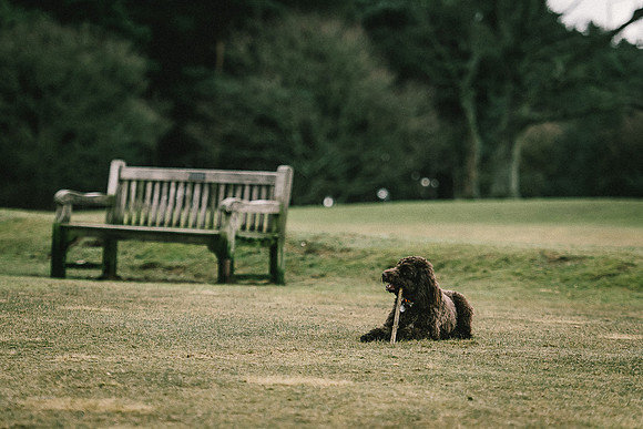 Lickey Hills Pre Wedding Photography